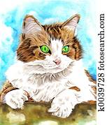 Cat Cat