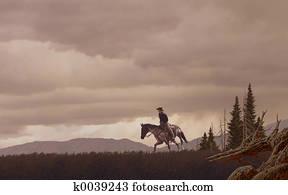 Cowboy Cowboy