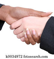 Female Handshake Female Handshake