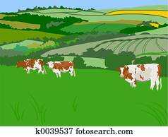 Grazing Cows Grazing Cows