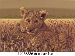 Lion Cub Lion Cub