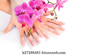 manicure, e, orquídea, branco