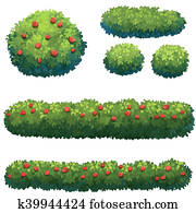 Shrubs in the park Shrubs in the park
