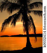 Sunset in the Keys Sunset in the Keys