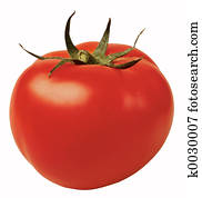 tomato tomato