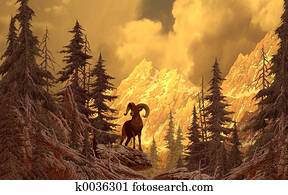 כבש של קרן גדול