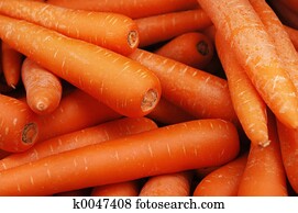 Carrot Carrot