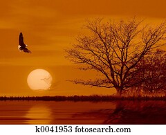 Fly like an eagle. Fly like an eagle.