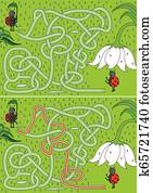 Ladybugs maze Ladybugs maze