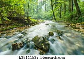 Morning landscape with river and forest