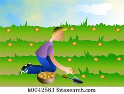Sowing Seeds Sowing Seeds