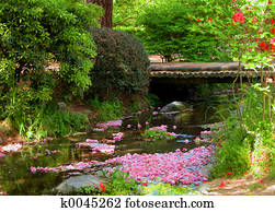 Spring River Spring River