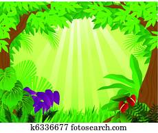 Tropical rainforest background Tropical rainforest background