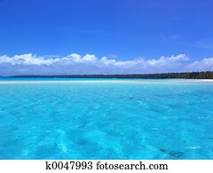 Tropical Ripple Tropical Ripple