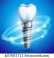 של השיניים, השרש