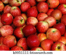 Apple Apple