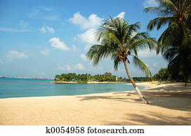 Beach Beach