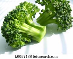 broccoli broccoli
