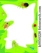 Bug Border Bug Border