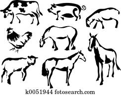 Farmyard Animals Farmyard Animals