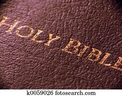 Holy Bible Holy Bible