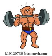 muscle teddy