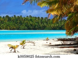 Tropical Beach Scene Tropical Beach Scene