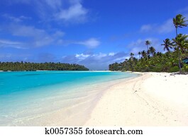 Tropical Tropical