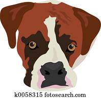 כלב של מתאגרף