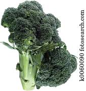 broccoli broccoli
