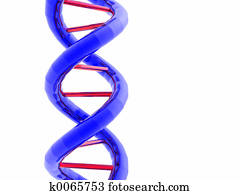 Double Helix Double Helix
