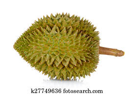 Durian isolated on the white background