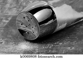 Salt Shaker