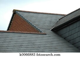 The roof The roof