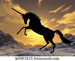 Unicorn Unicorn
