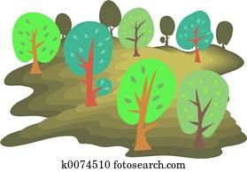 Forest Forest