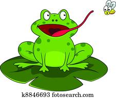 Frog with fly Frog with fly