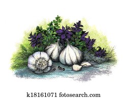 Garlic and herb Garlic and herb