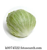 lettuce lettuce
