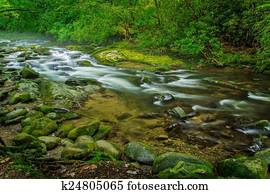 Smoky Mountain Stream