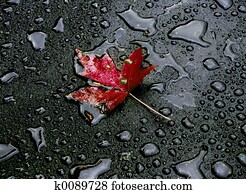 alone alone