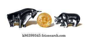 bitcoin, 와, bull., 사실상, crypto, 통화, coin., blockchain, technology.
