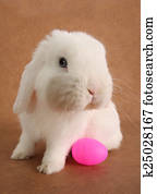 Easter bunny Easter bunny