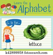 Flashcard letter L is for lettuce Flashcard letter L is for lettuce