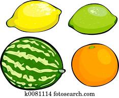 Fruit Fruit