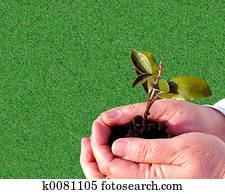 Gardening Care Gardening Care