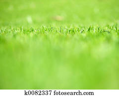 Green grass