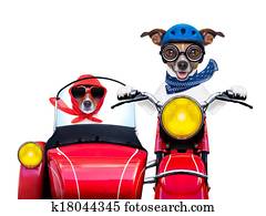 motorbike dogs 