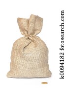 Bag and Coin