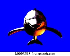 Dolphin Dolphin
